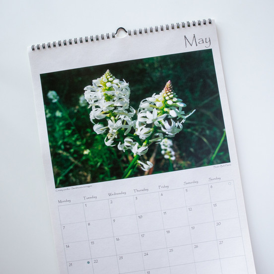 Calendars